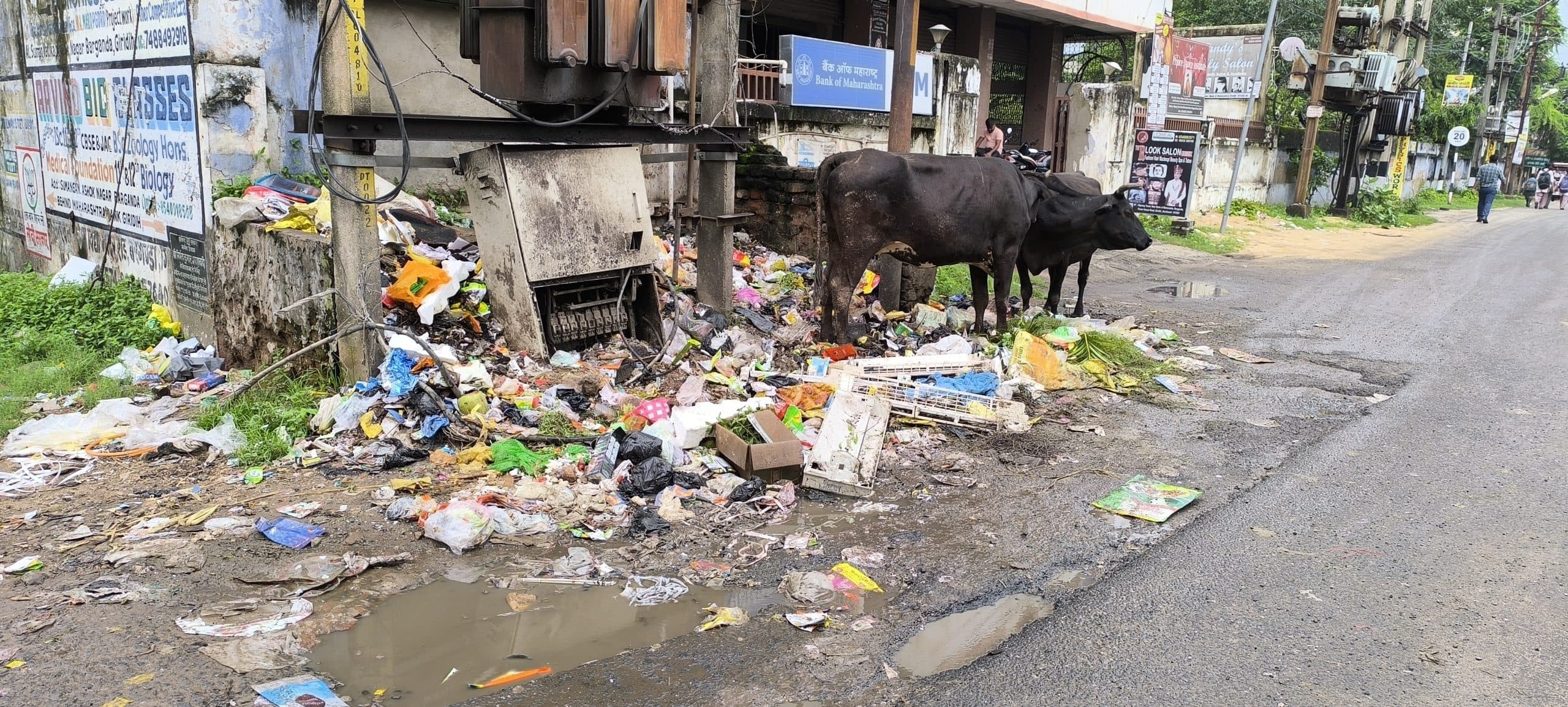 पांचवें दिन भी झारखंड लोकल बॉडीज इम्पलाइज फेडरेशन का हड़ताल जारी, शहर में गंदगी