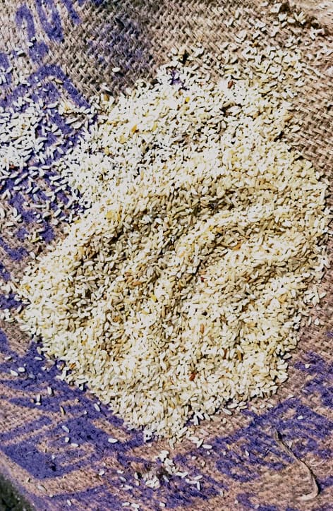 गरीबों को खाने के लिए भोरे के डीलरों को मिला सड़ा अनाज