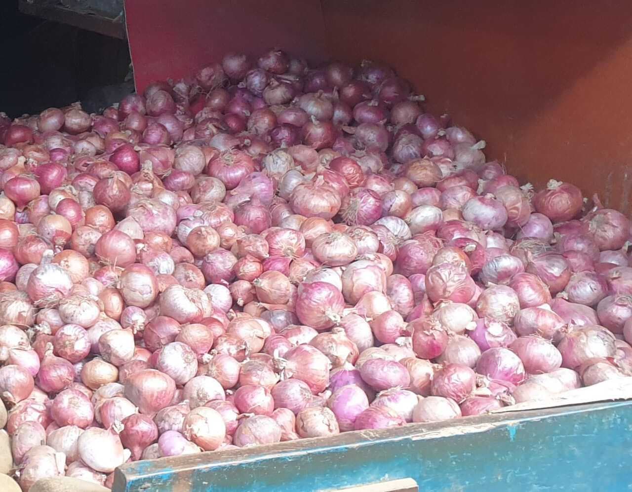 आलू के बाद अब लहसुन और प्याज की कीमतें बढ़ने से उपभोक्ता परेशान