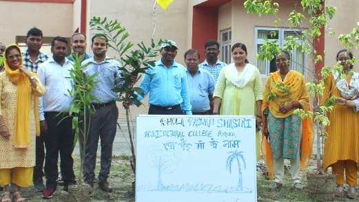 एक पेड़ मां के नाम अभियान से कृषि महाविद्यालय में पौधरोपण