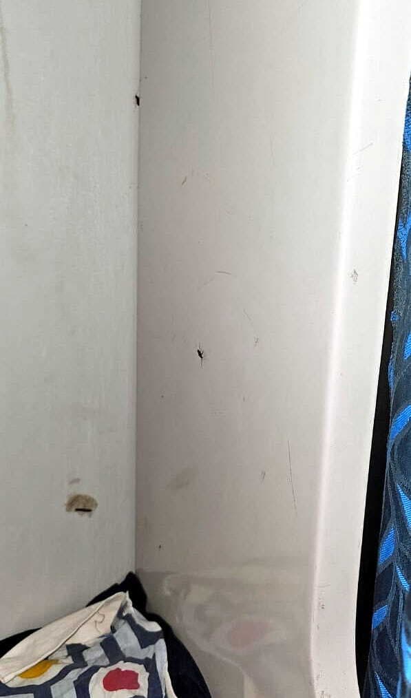 कॉकरोच ने हराम कर दी बेंगलुरु-मुजफ्फरपुर एक्सप्रेस के यात्रियों की नींद