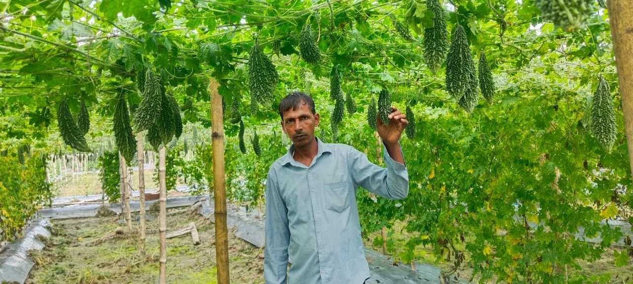 दो एकड़ सब्जी की खेती से प्रतिदिन पांच से आठ हजार तक की कमाई