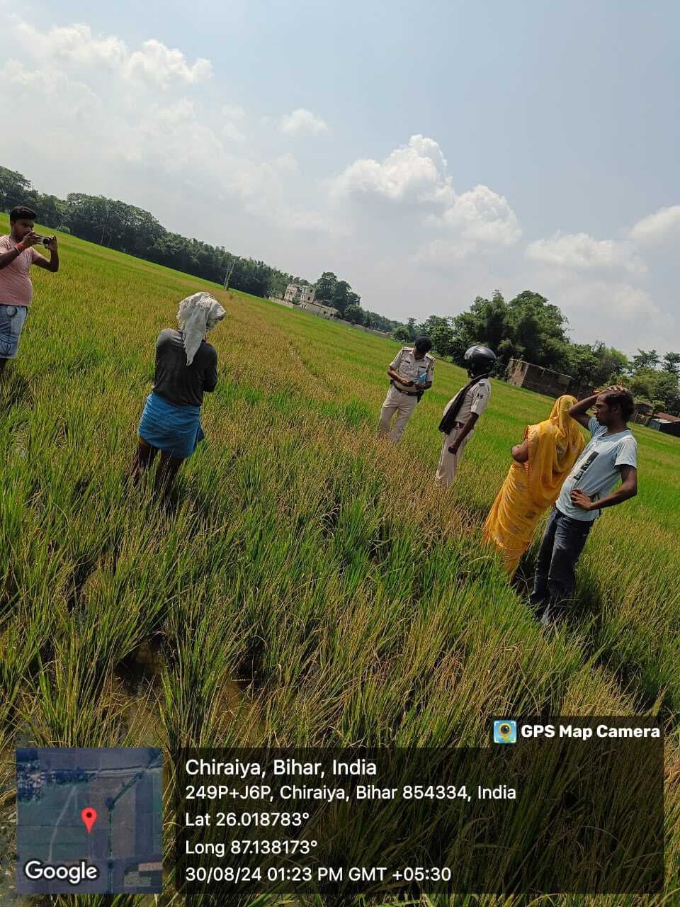 चार बीघा धान फसल में दवा डाल कर दिया नष्ट