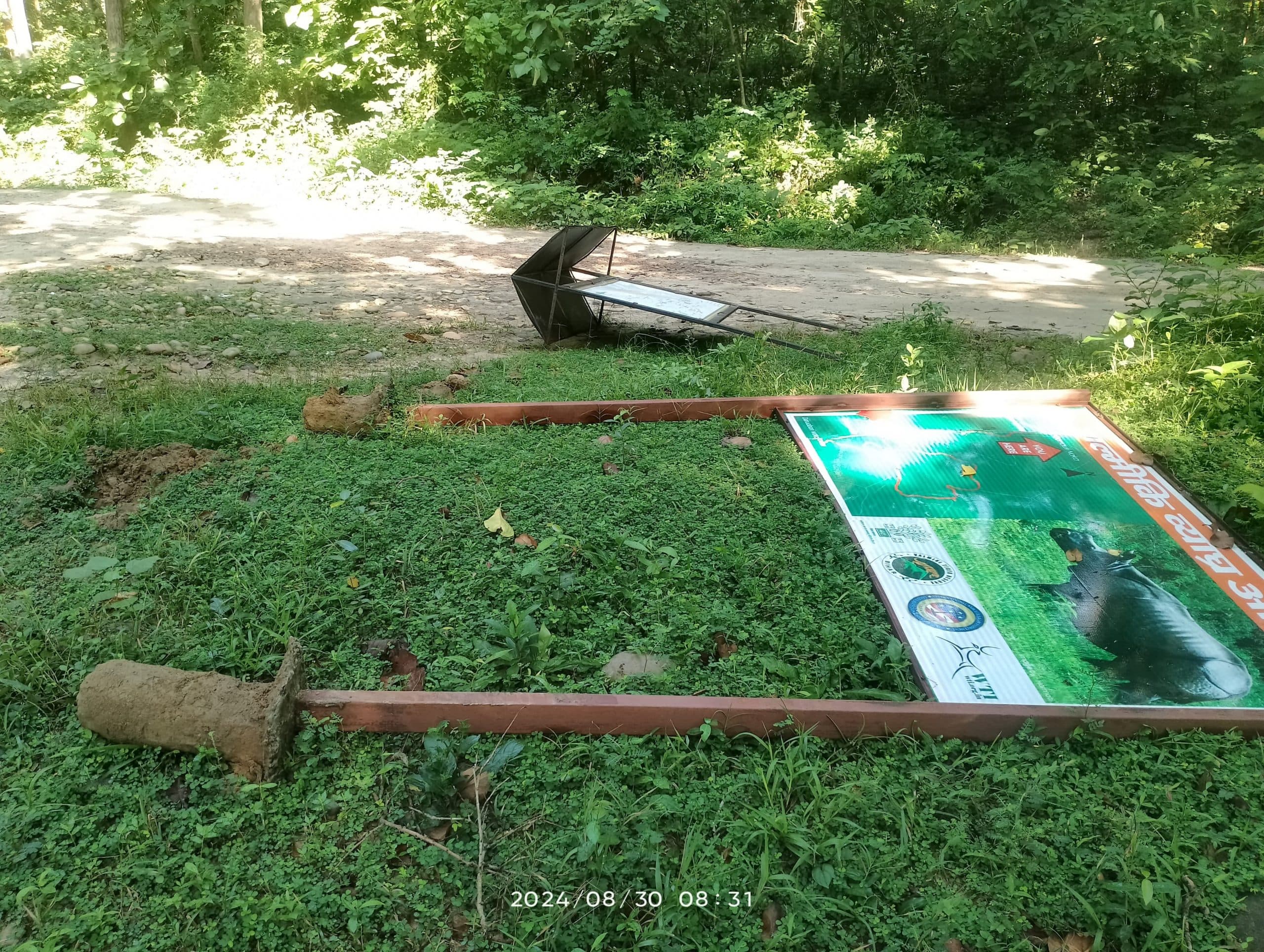 Bettiah News : भारत-नेपाल बॉर्डर को पार कर टाइगर रिजर्व में फिर पहुंचा नेपाली हाथियों का झुंड