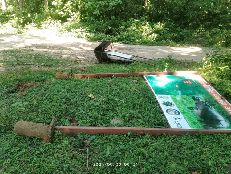 Bettiah News : भारत-नेपाल बॉर्डर को पार कर टाइगर रिजर्व में फिर पहुंचा नेपाली हाथियों का झुंड