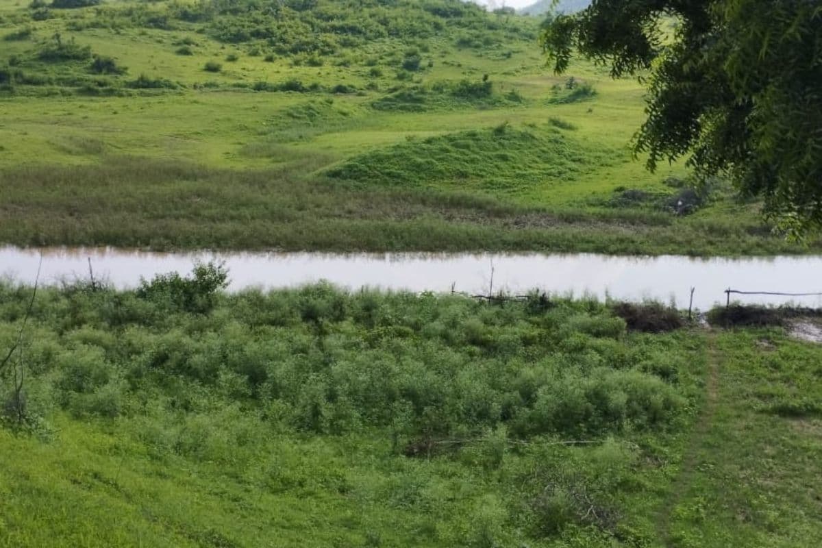 Jharkhand News: गढ़वा में बड़ा हादसा, बभनी खांड डैम में डूबने से तीन बच्चों की मौत