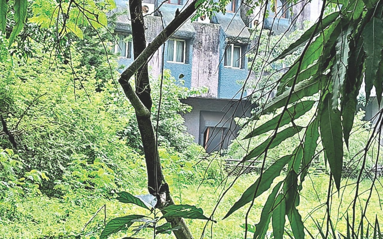 9.5 करोड़ लेकर भी आइटीडीसी ने नहीं दिया शेयर, रांची का होटल अशोक खंडहर में तब्दील, कर्मचारियों ने दी आत्मदाह की चेतावनी