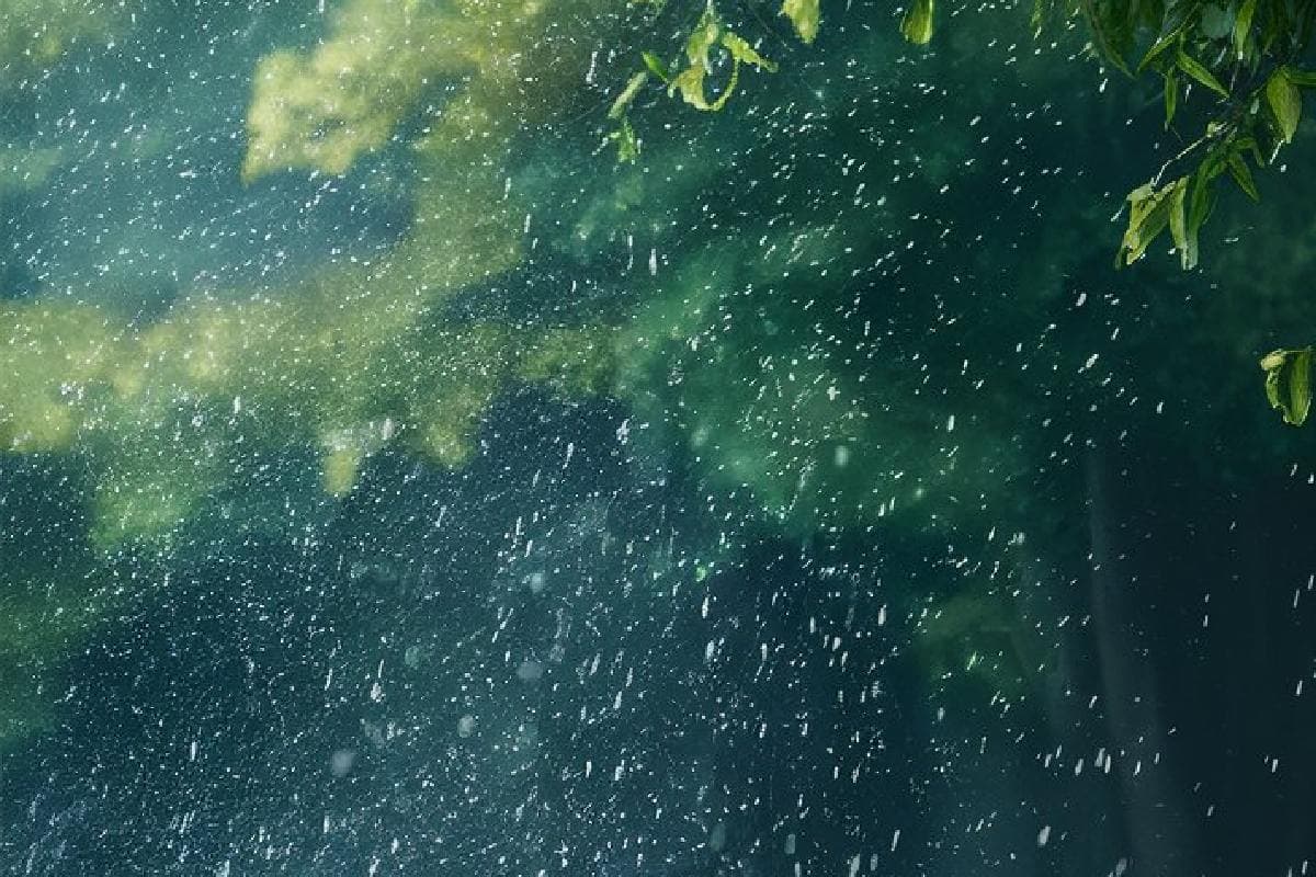 Rain Alert : दिल्ली में अगले तीन दिन बारिश, जानें झारखंड-बिहार के अलावा अन्य राज्यों के मौसम का हाल