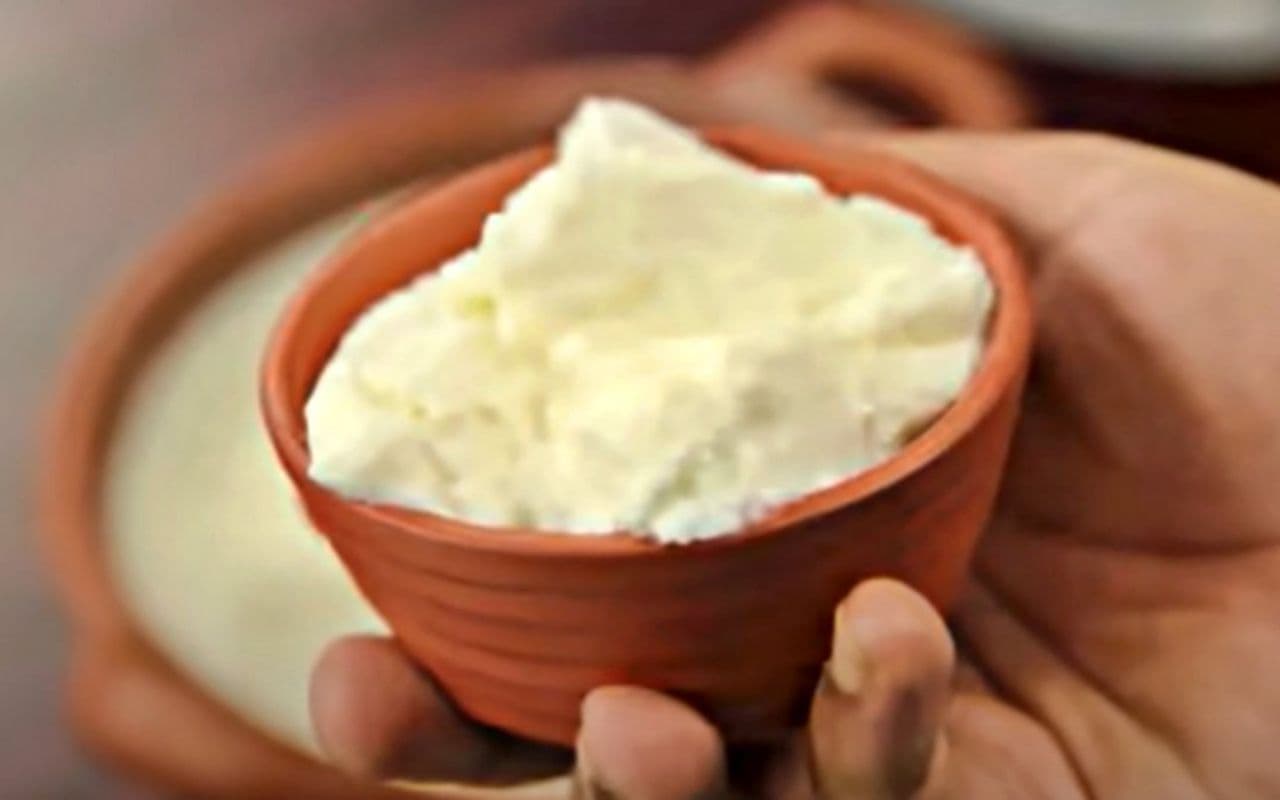 Bihar News: भागलपुर समेत प्रदेश के तीन जिलों में 23 करोड़ से लगेंगे दही बनाने के संयंत्र, ऑटोमेटिक होगी मशीन