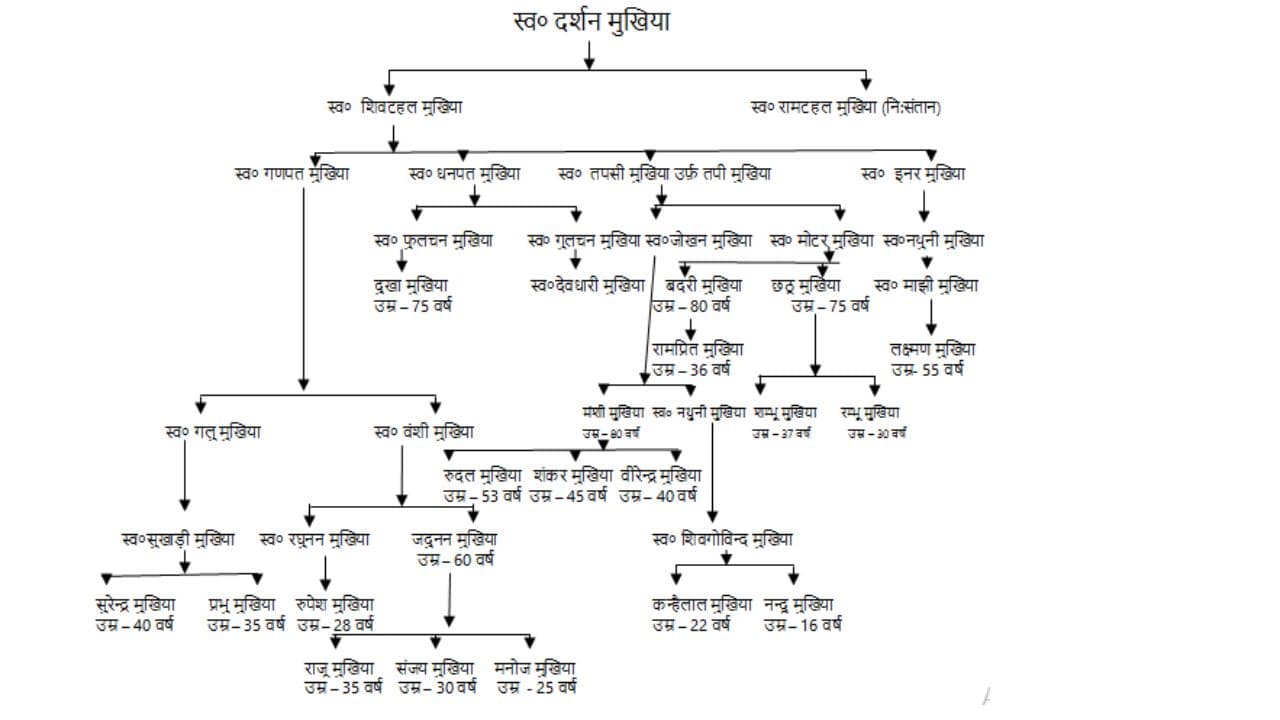 Bihar Land Survey 2024: बिहार विशेष भूमि सर्वेक्षण में नहीं लगेगा सरपंच का वंशावली, जानें सर्वे अधिकारी से जरूरी बातें