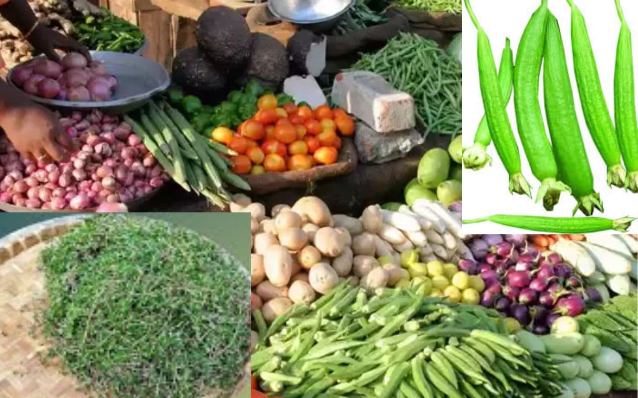 Bihar News: औरंगाबाद के बाजार में सतपुतिया 60 तो 100 रुपये किलो बिके नोनी साग, यहां जानें सब्जी और फलों की किमत