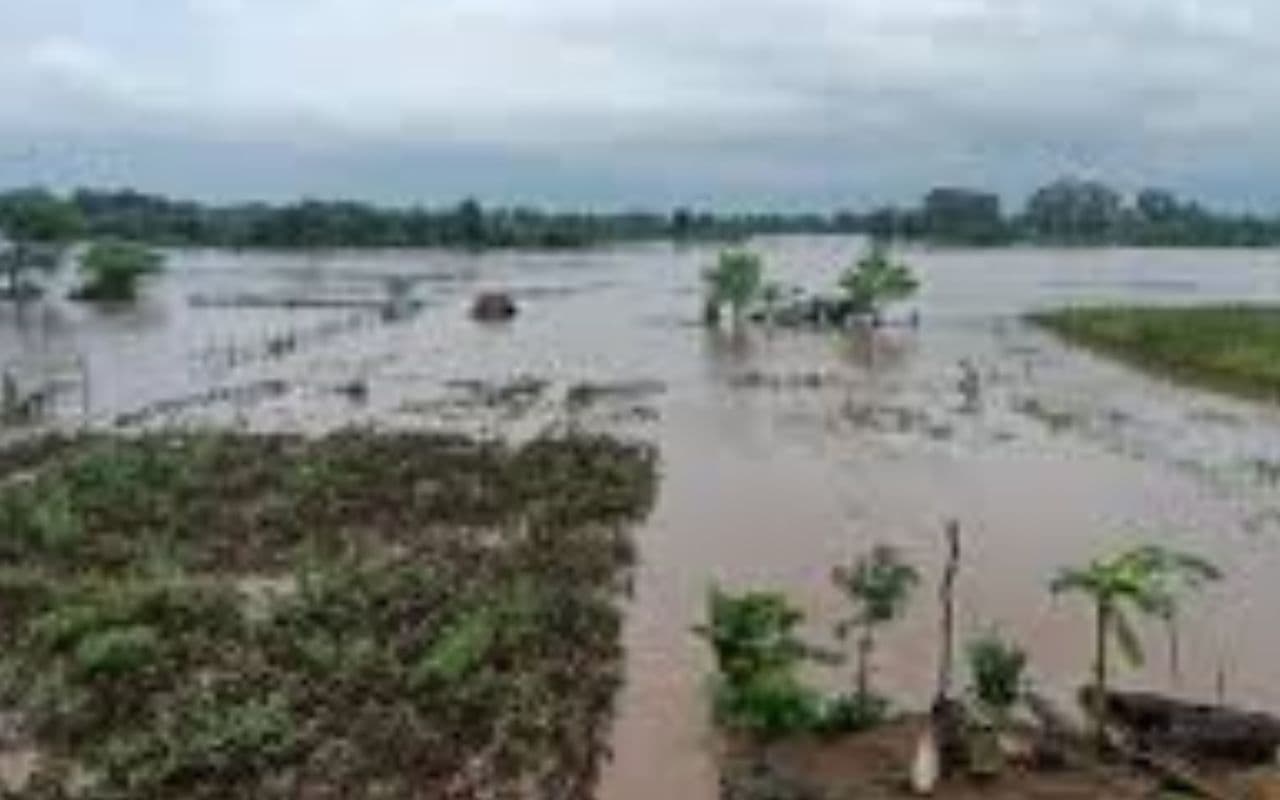 हाजीपुर में बाढ़ के पानी में डूबे खेत-खलिहान