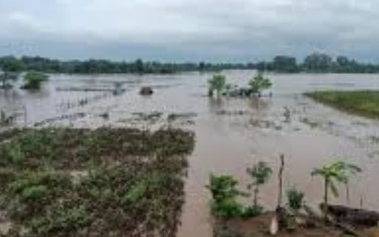 Bihar News: हाजीपुर में बाढ़ के पानी में डूबे खेत-खलिहान, फसल बर्बाद होने से किसान चिंतित
