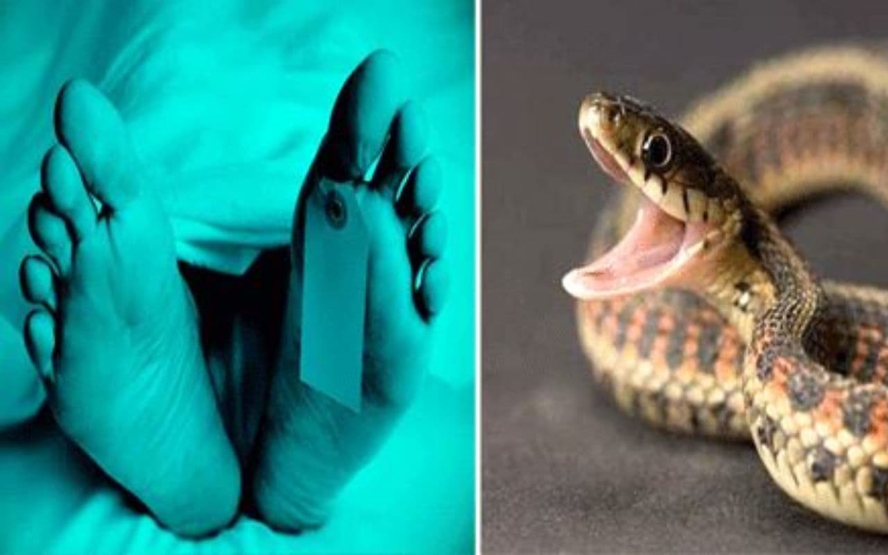 Kaimur News : सांप काटने के बाद झाड़-फूंक के चक्कर में पड़े परिजन, दो युवकों की हुई मौत