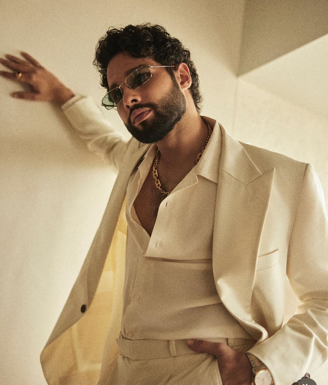 Yudhra Movie: सिद्धांत चतुर्वेदी को एंग्री यंग मैन के टैग से है ऐतराज.. इसकी वजह हैं अमिताभ बच्चन