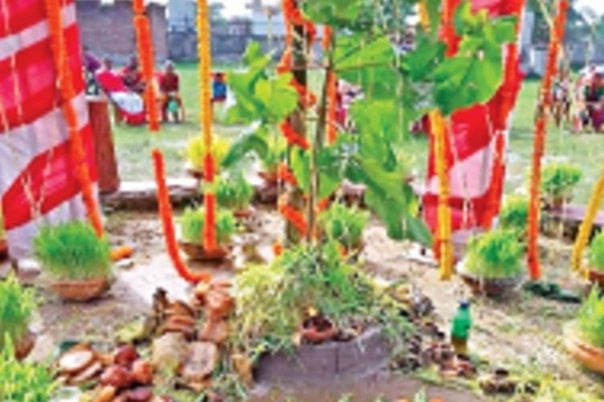 Karma Puja 2024: करम डाल की ही क्यों की जाती है पूजा, जानें क्या है इसका महत्व