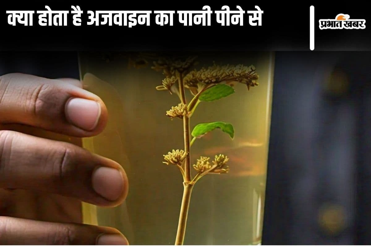 Ajwain Water Benefits: इन 5 बीमारियों का रामबाण इलाज है अजवाइन वाला पानी