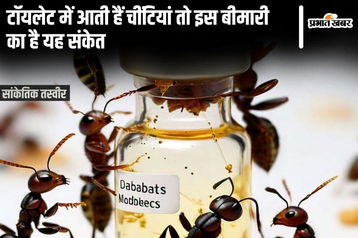 Myth: टॉयलेट में आती हैं चींटियां तो इस बीमारी का है यह संकेत