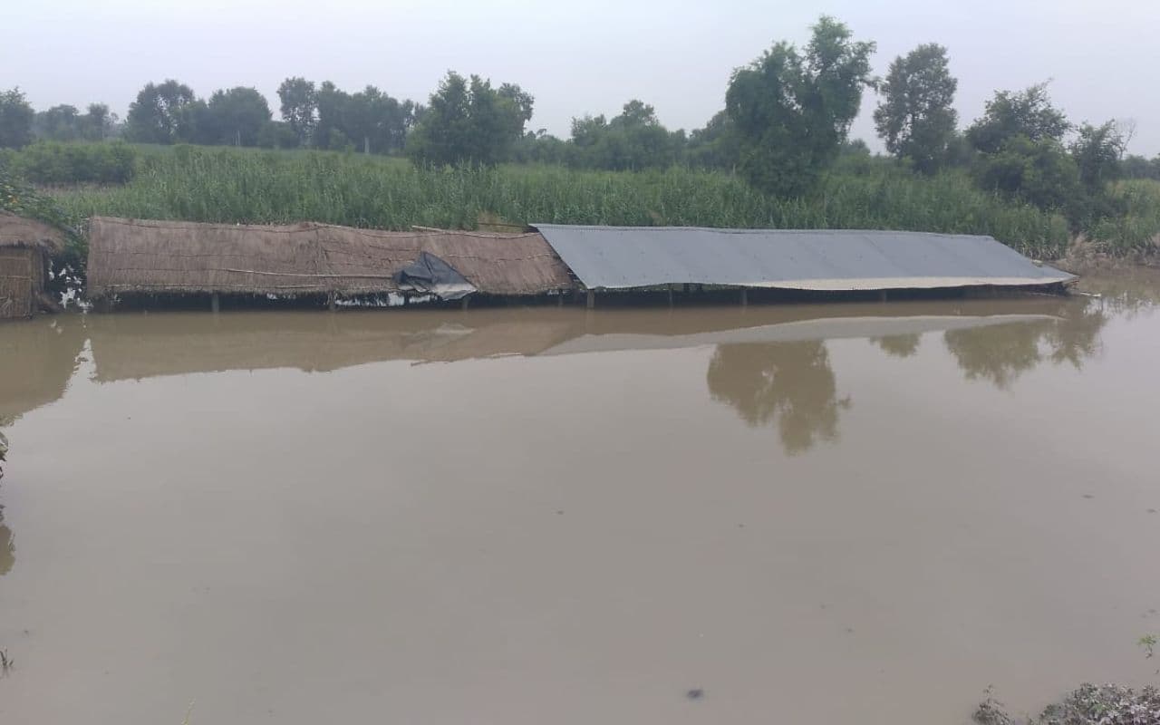 Bihar Flood: 800 से ज्यादा घरों में घुसा बाढ़ का पानी, एक और तटबंध टूटा, रातभर चला बचाव कार्य