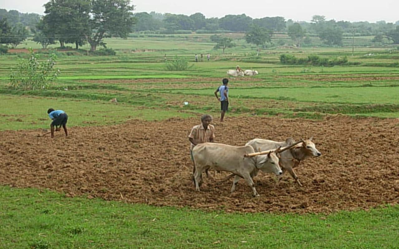 Bihar Land Survey : जमीन सर्वे में शुरू हुआ खून-खराबा, वंशावली बनाने गांव आये व्यक्ति को पट्टीदारों ने मार डाला