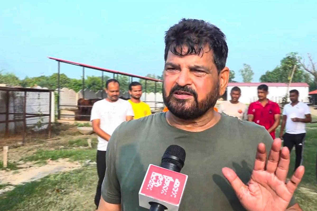 Haryana Election 2024: विनेश और बजरंग पर कोई बयान न दें बृजभूषण सिंह, बीजेपी आलाकमान की सख्त हिदायत