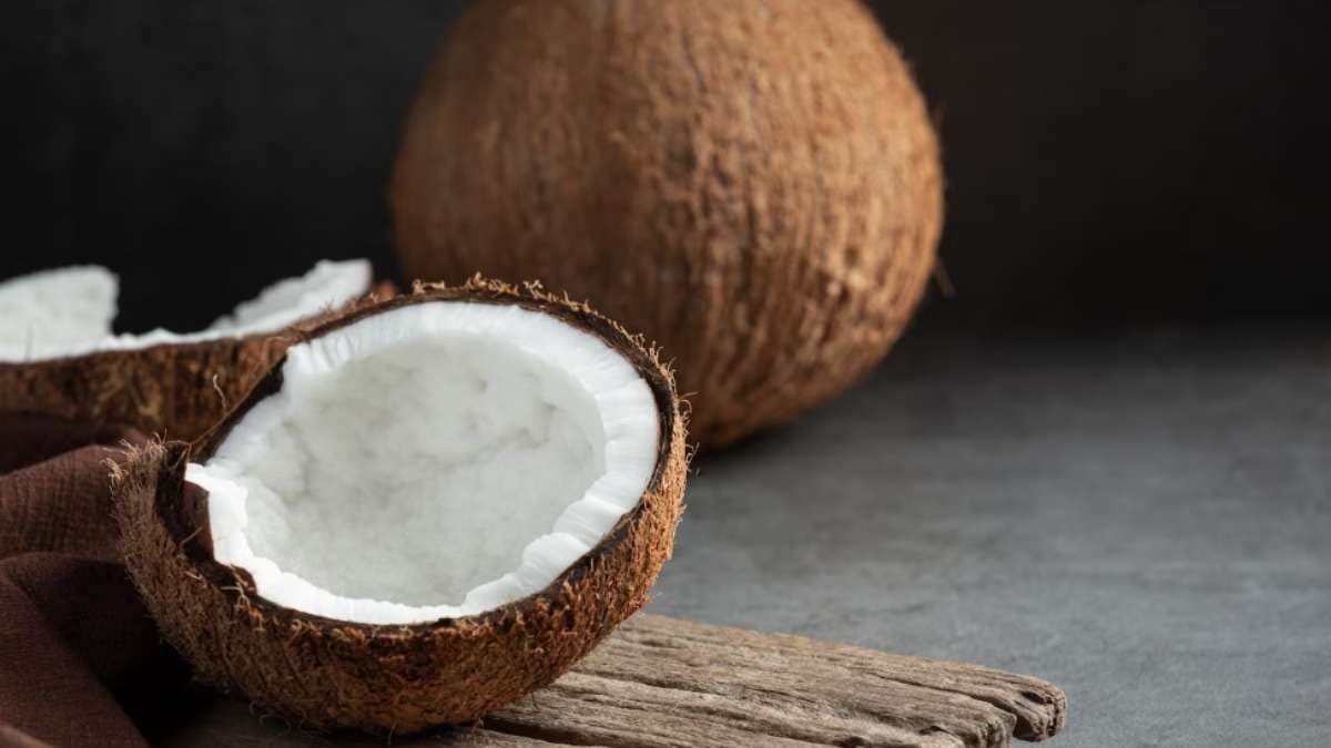 World Coconut Day 2024: 2 सितम्बर को मनाया जाता है कोकोनट डे, जानें हर सवाल का जबाब