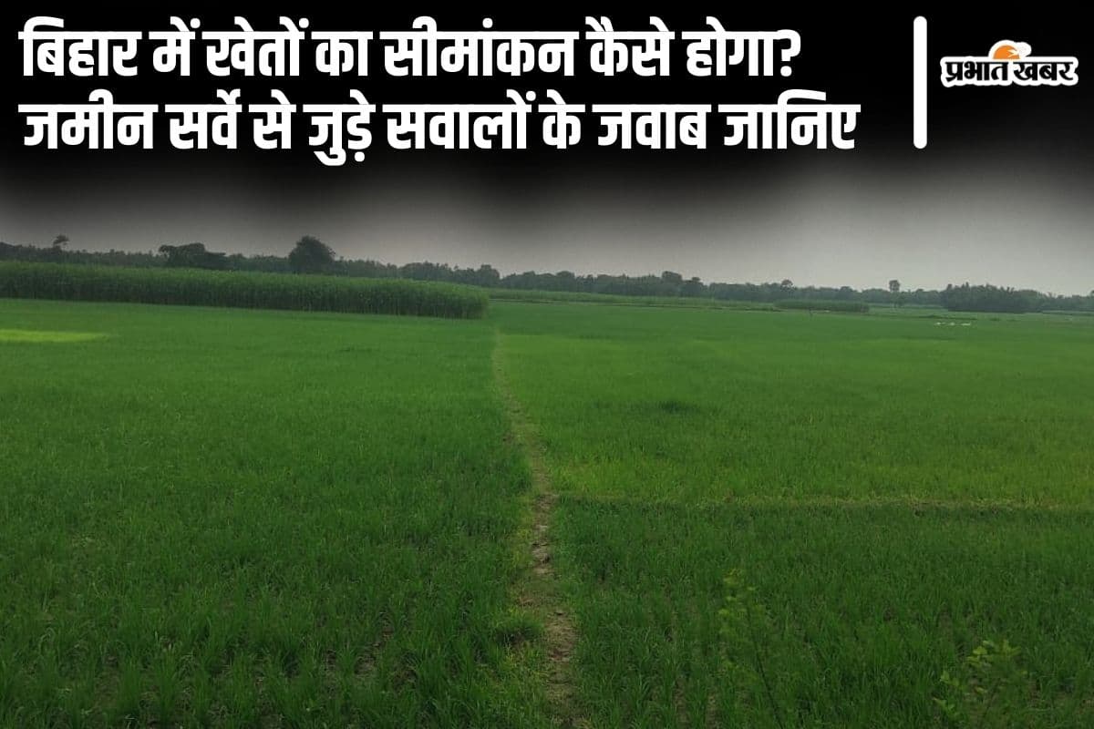 Bihar Land Survey: खेत का सीमांकन कैसे होगा? बिहार में जमीन सर्वे से जुड़े सवालों के जवाब जानिए