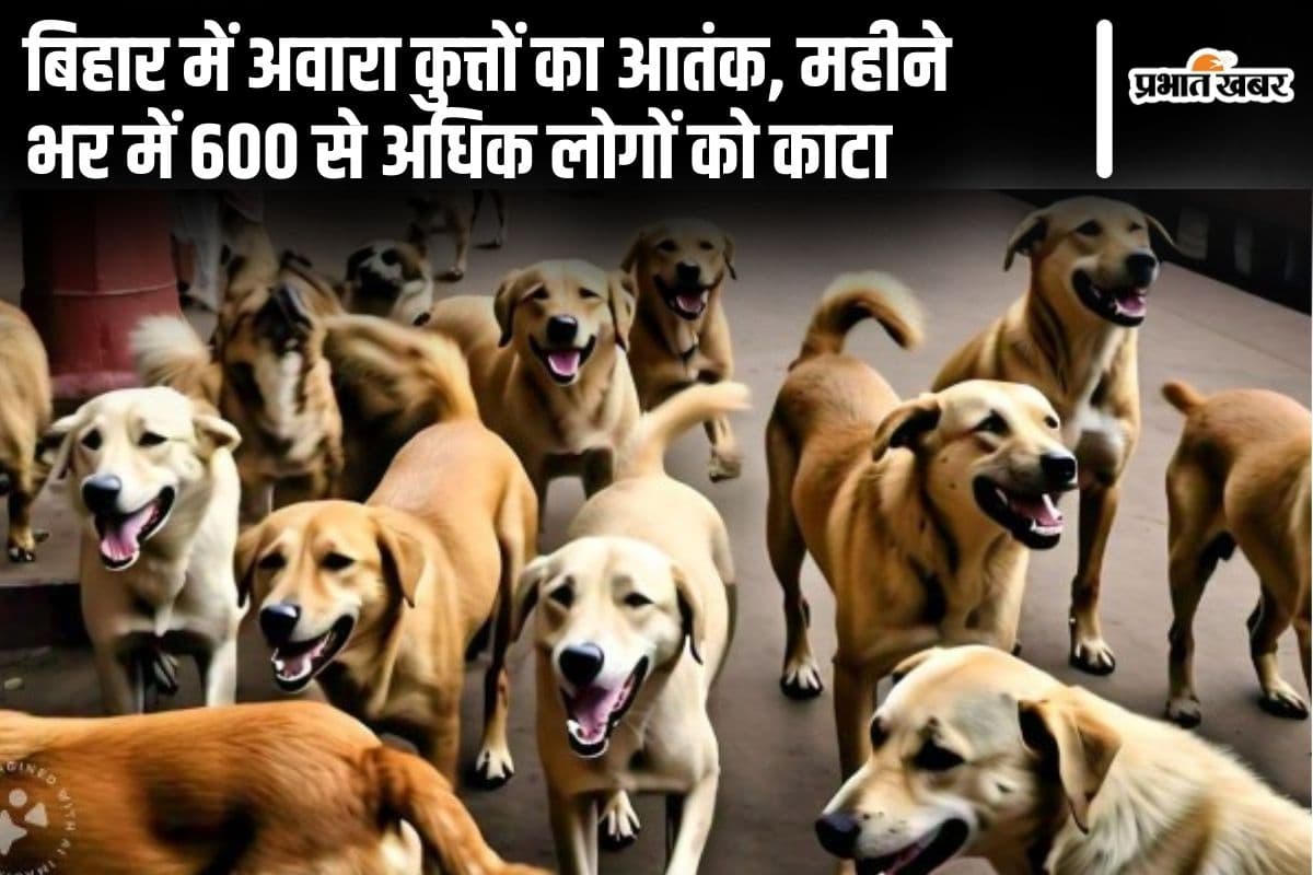 बिहार में कहां है अवारा कुत्तों का आतंक? महीने भर में 600 से अधिक लोगों को काटकर जख्मी किया…