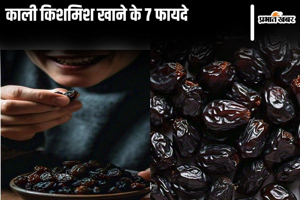 Black raisins benefits: हेल्थ एक्सपर्ट्स से जानिए काली किशमिश खाने से होने वाले 7 फायदे
