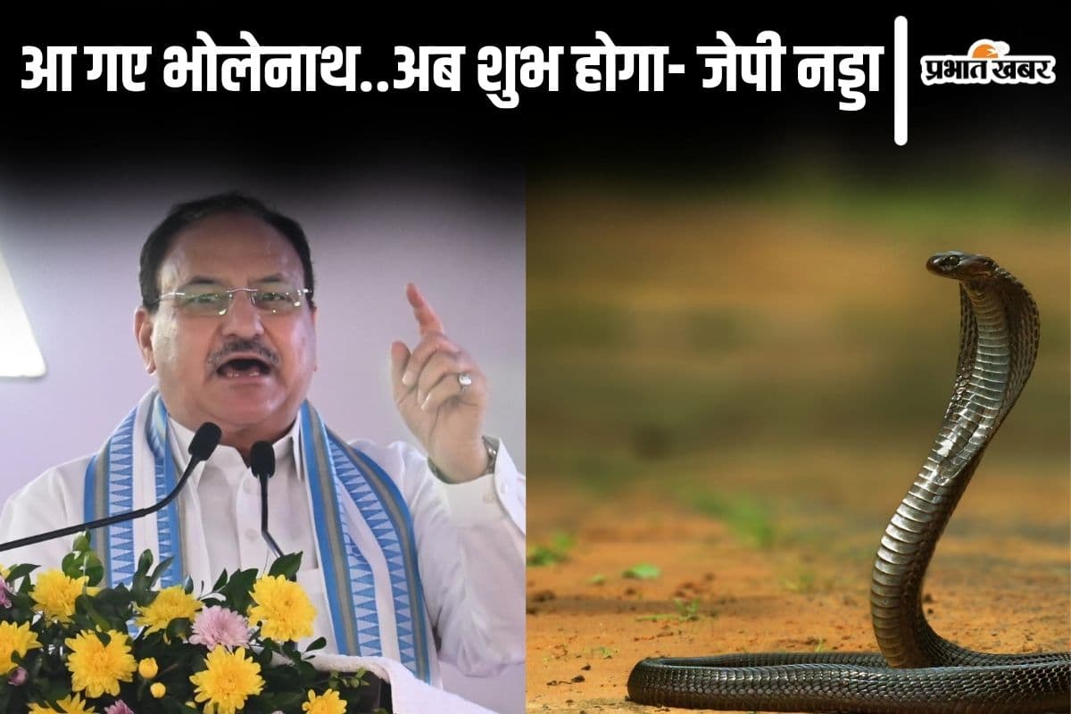 बिहार में जेपी नड्डा के भाषण के दौरान डॉक्टरों के बीच निकला सांप, बोले मंत्री- मिल गया भोलेनाथ का आशीर्वाद...
