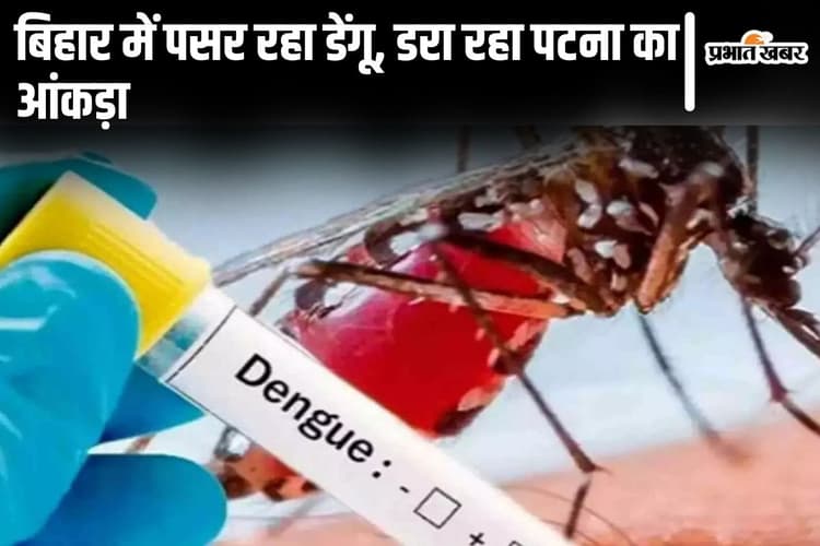 Dengue in Bihar : पटना में मिले डेंगू के 50 और मरीज, कंकरबाग को पीछे छोड़ पाटलिपुत्र बना नया हॉट स्पॉट