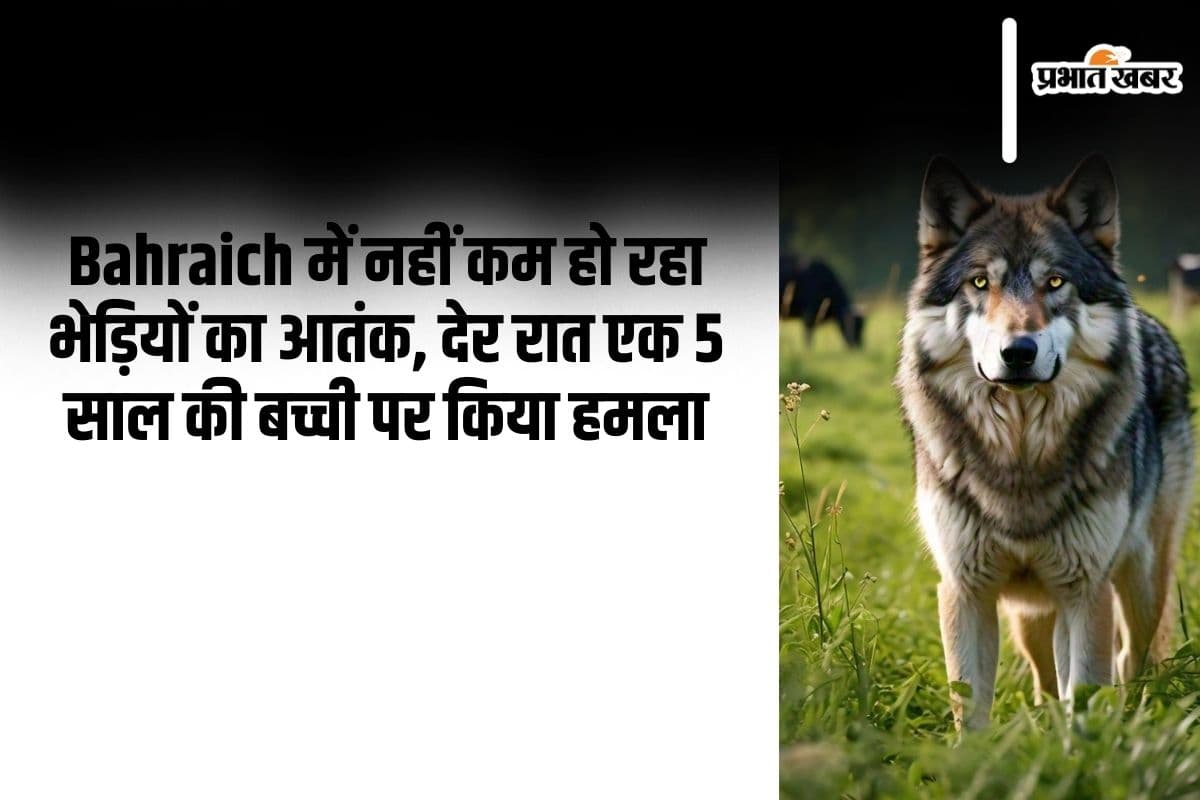 Bahraich News: नहीं कम हो रहा भेड़ियों का आतंक, अब 5 साल की बच्ची को बनाया अपना शिकार