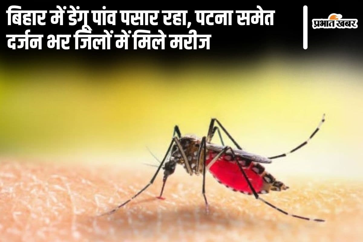 बिहार में डेंगू पसरता जा रहा, पटना और गया समेत दर्जन भर जिलों में मिले नये मरीज, किया गया सतर्क