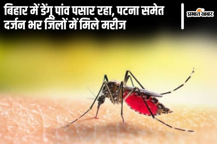 बिहार में डेंगू पसरता जा रहा, पटना और गया समेत दर्जन भर जिलों में मिले नये मरीज, किया गया सतर्क
