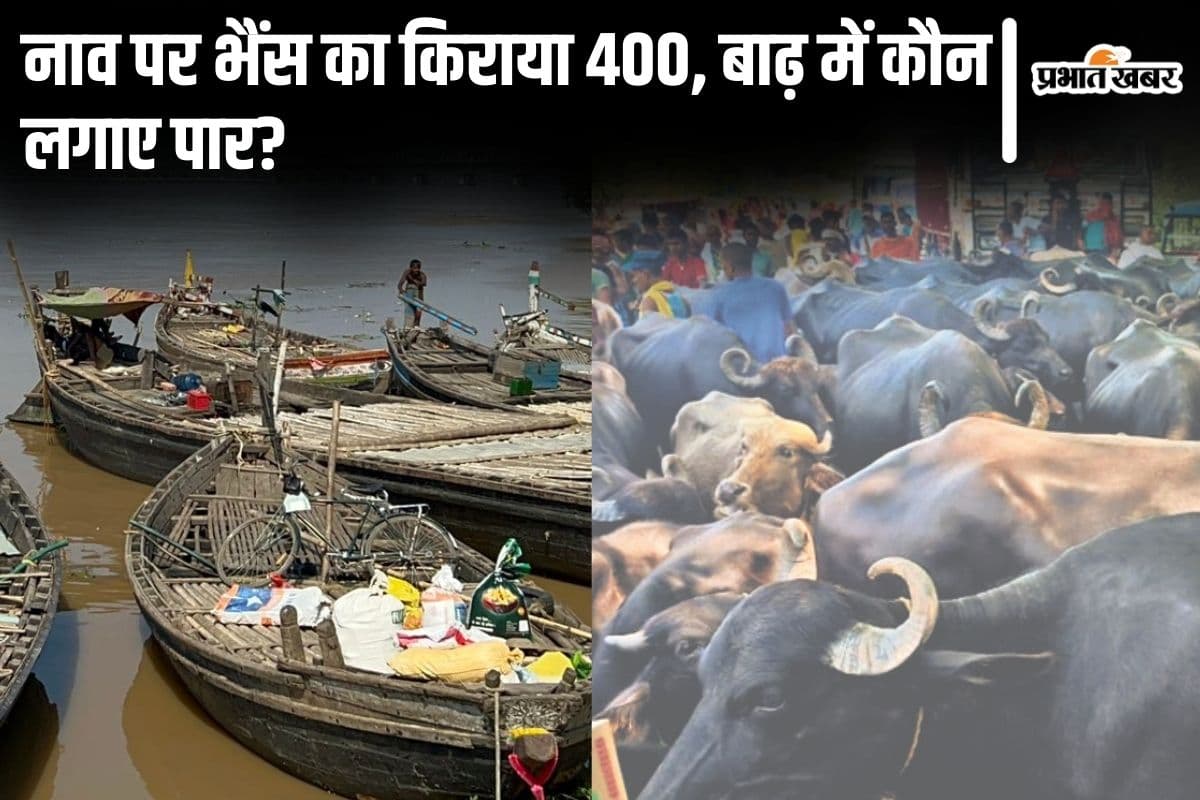 Bihar Flood: नाव पर भैंस का 400 तो बकरी और आदमी का बराबर किराया, दोहरी मार झेल रहे मुंगेर के बाढ़ पीड़ित