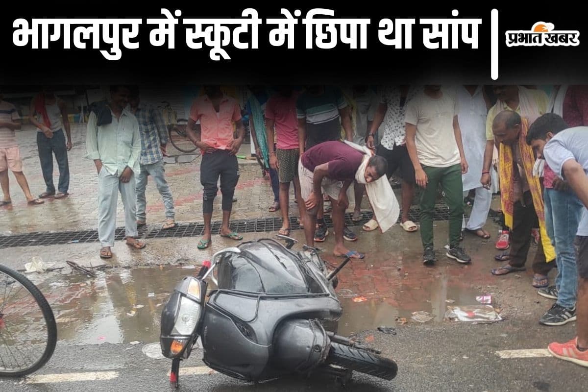 VIDEO: भागलपुर में स्कूटी में छिपा था खतरनाक सांप, गाड़ी छोड़कर भागा चालक, देखिए माहौल...