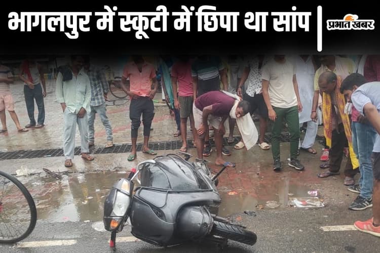 VIDEO: भागलपुर में स्कूटी में छिपा था खतरनाक सांप, गाड़ी छोड़कर भागा चालक, देखिए माहौल...