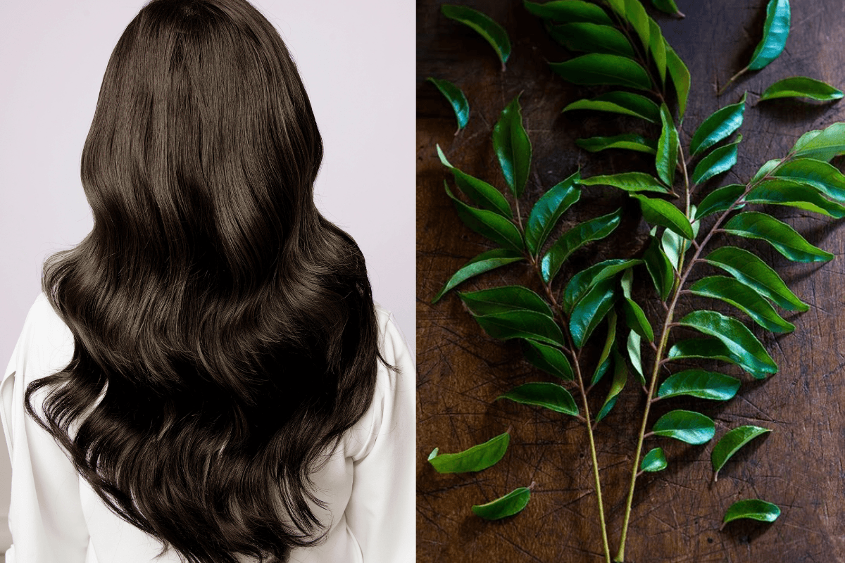 Curry Leaves for Healthy Hair: मजबूत और स्वस्थ बालों के लिए करी पत्ता है बेहद फायदेमंद