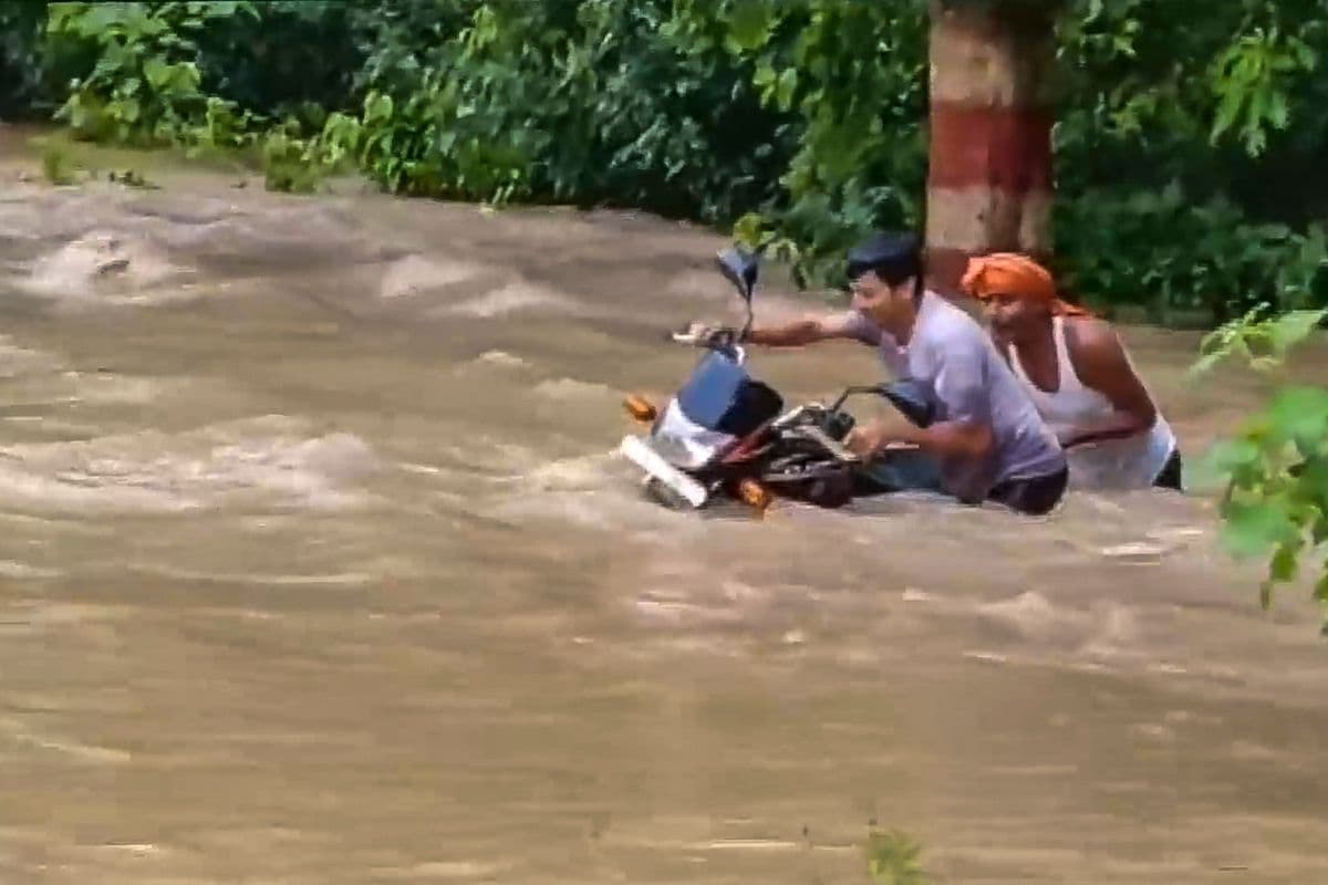 Rainfall Warning: बिहार में बाढ़ का कहर, इन राज्यों में होगी भारी से बहुत अधिक बारिश, IMD अलर्ट