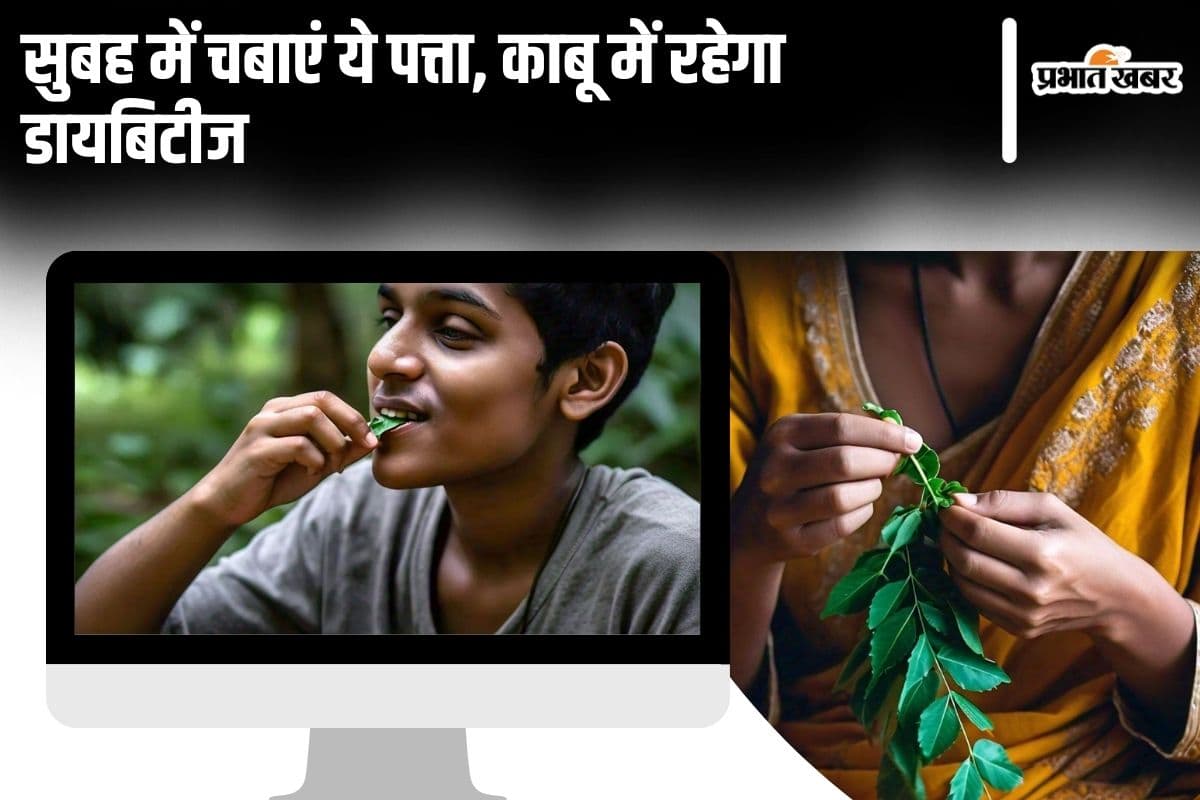 Kari Patta Khane Ke Fayde: सुबह में चबाएं ये पत्ता, काबू में रहेगा डायबिटीज, सेहत को मिलेंगे कमाल के फायदे
