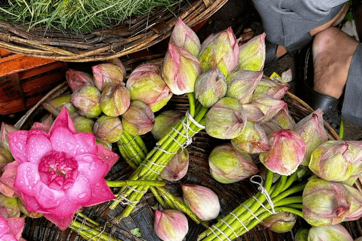 7 Edible Flowers: 7 देसी फूल जो खाने योग्य भी हैं, आप भी बना सकते है इनसे स्वादिष्ट व्यंजन