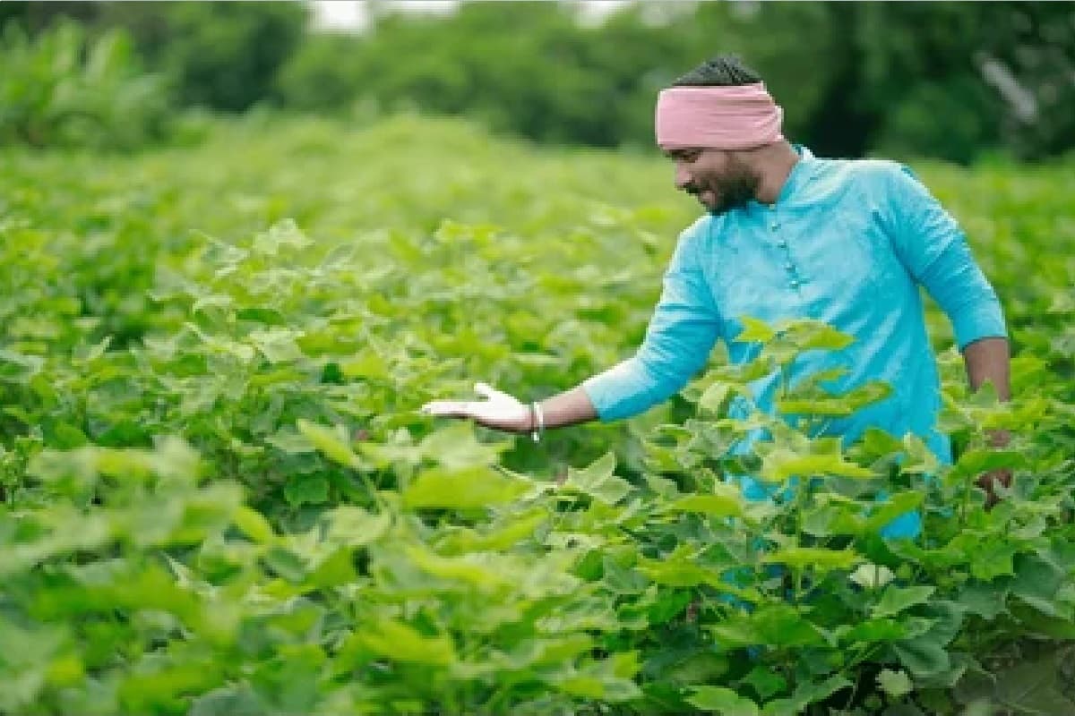 PM Kisan के लाभार्थी हो जाएं तैयार, अक्टूबर में आने वाला 18वीं किस्त का पैसा