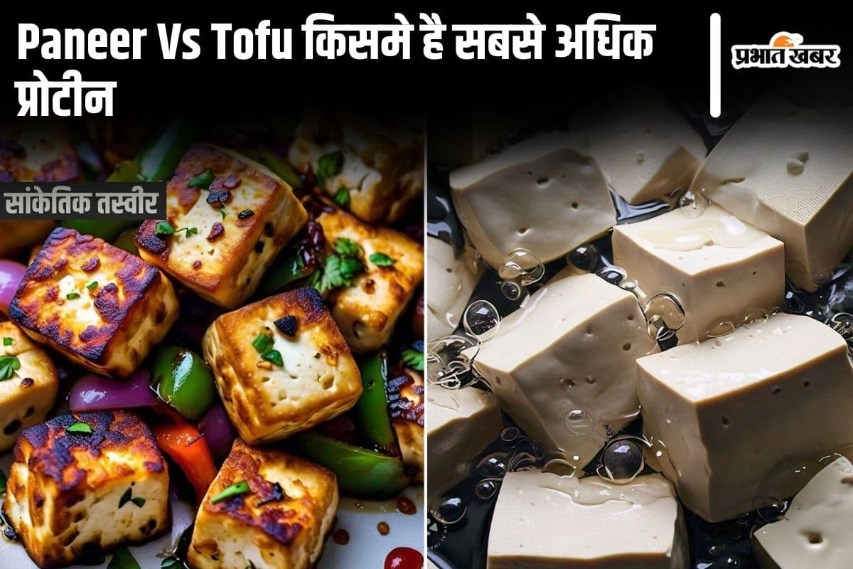 Paneer Vs Tofu:पनीर और टोफू किसमें सबसे अधिक प्रोटीन होता है?