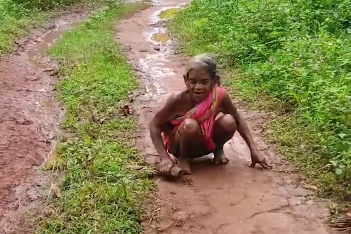 Pension News: पेंशन के लिए 2KM घुटनों के बल चलकर पंचायत कार्यालय पहुंची बुजुर्ग महिला, VIDEO वायरल
