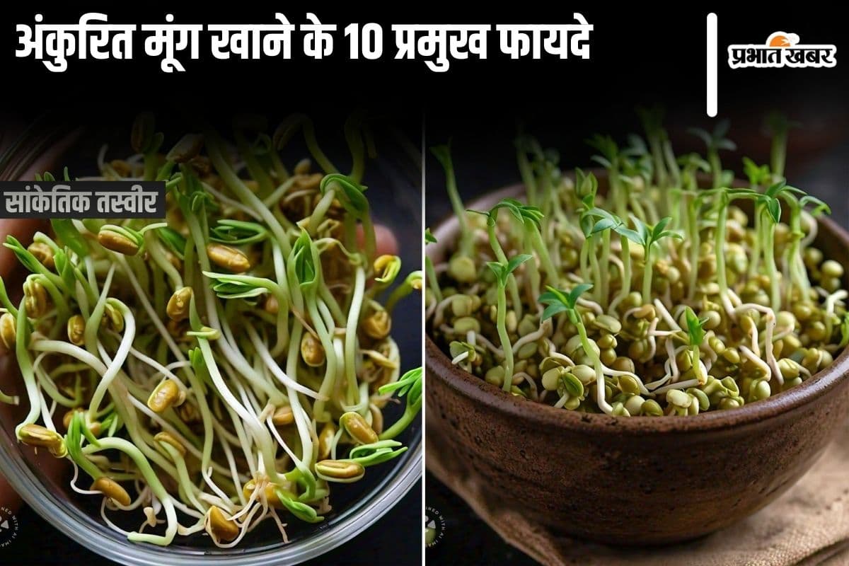 Sprouted Moong News: यहाँ जानिए अंकुरित मूंग खाने के 10 प्रमुख फायदे