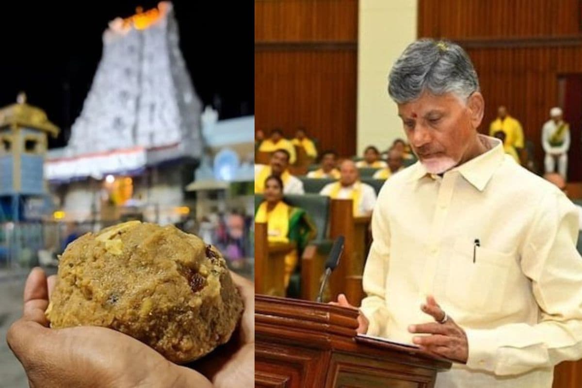 Tirupati Prasadam: तिरुपति मंदिर के प्रसाद में मिलावट, प्रसादम में मछली तेल की पुष्टि, चंद्रबाबू ने लगाया था आरोप