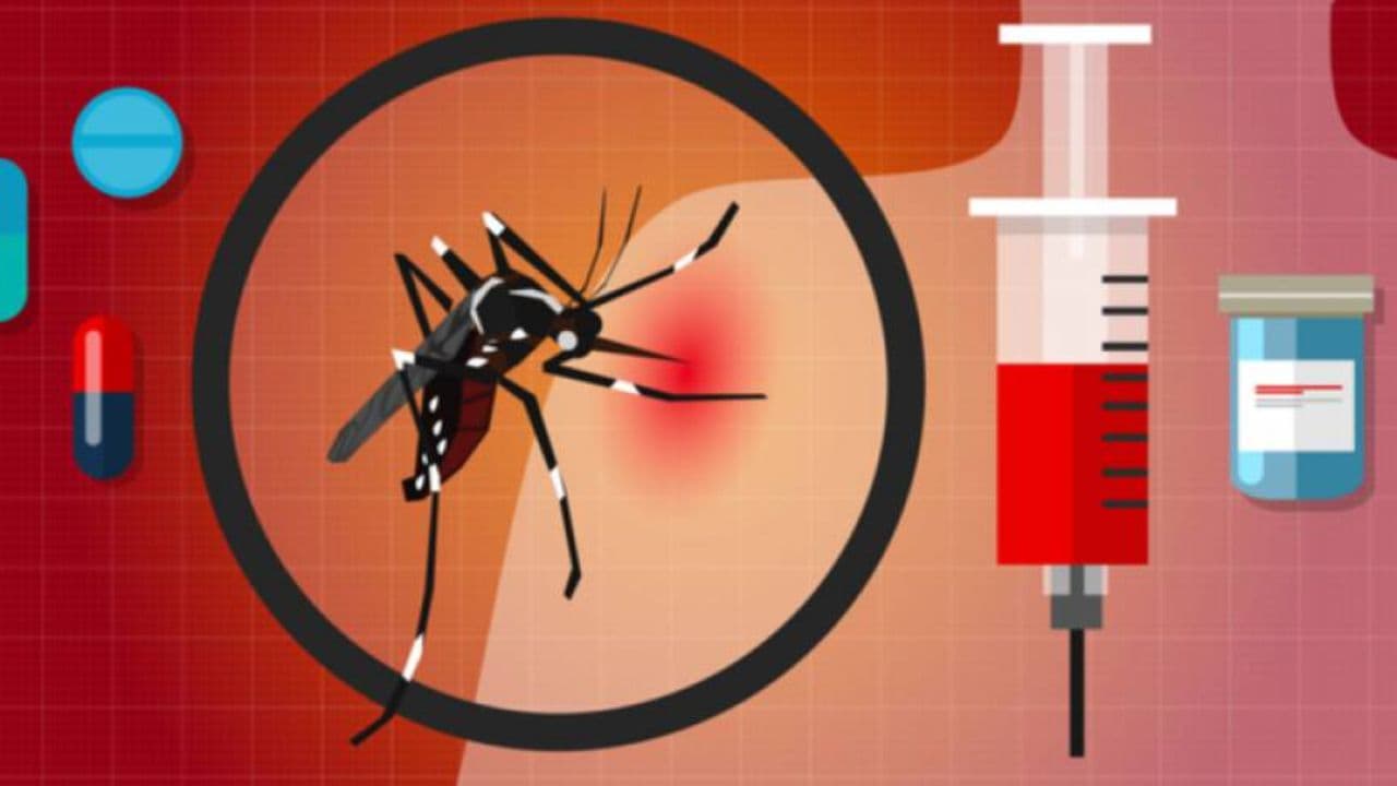 डेंगू दवाओं की बिक्री में उछाल, एंटीबायोटिक की 6 गुनी, तो पैरासिटामोल की 5 गुनी बिक्री बढ़ी