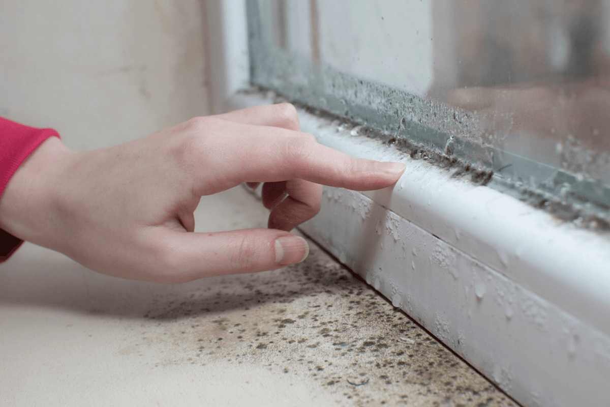 Fungus Removal Remedies: फफूंद हटाने के सरल घरेलू उपाय