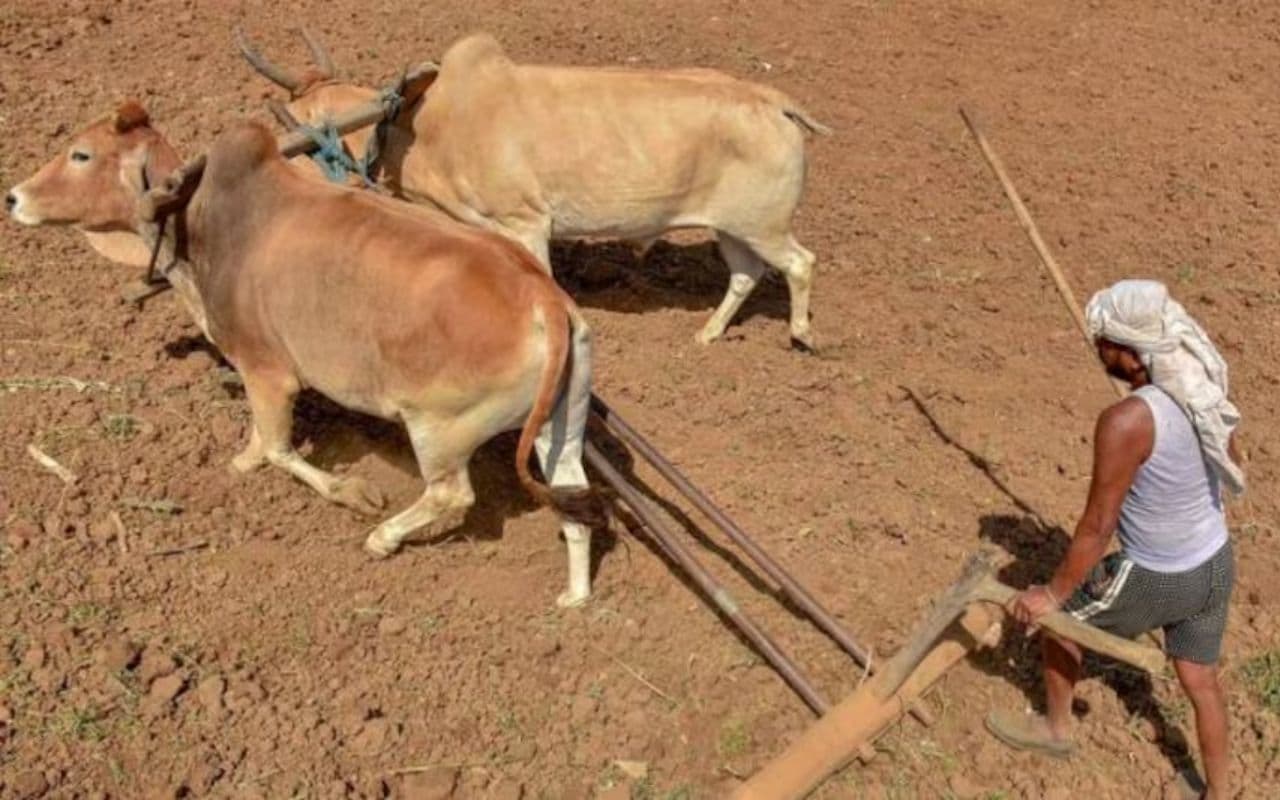 किसी की भी जमीन नहीं लेगी नीतीश सरकार, जमीनों के कागज को ठीक करना है सर्वे का मकसद