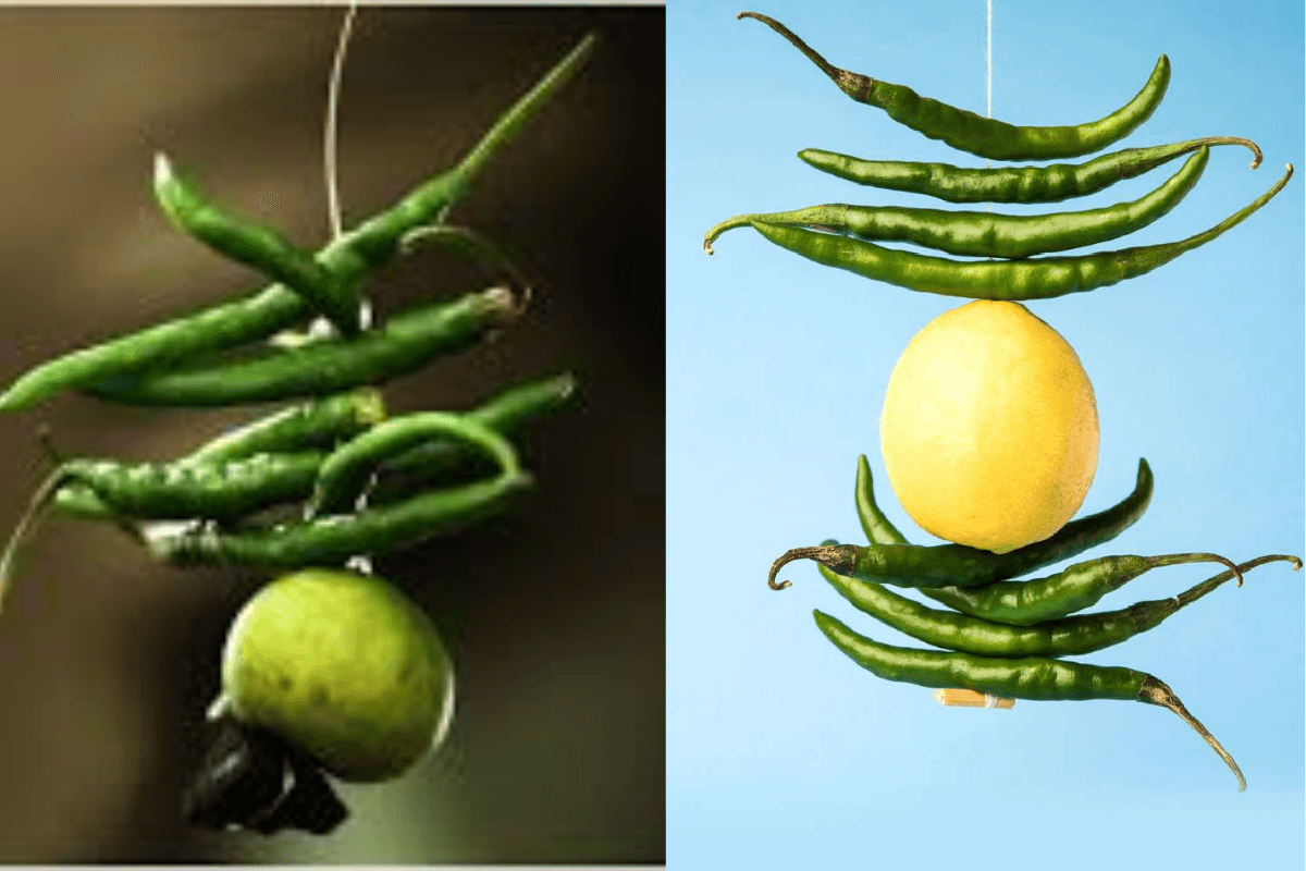Vastu Tips: वास्तु शास्त्र में निंबू-मिर्च लगाने के फायदे और बुरी नजर से बचाव के उपाय